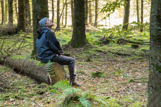 istock alone man sitting on fallen tree in green forest thinking about life, looking up in the sky, man and nature, man in forest in scandinavia 2197938230
