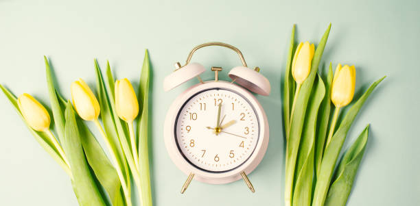 istock Alarm clock with yellow tulip flowers, switch to daylight saving time in spring, summer time changeover 2197941859