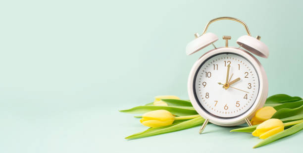istock Alarm clock with yellow tulip flowers, switch to daylight saving time in spring, summer time changeover 2197941903