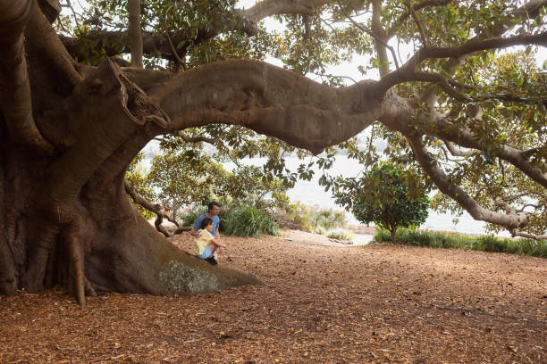 A father and son share a joyful moment sitting under a magnificent tree by the park, creating a scene of nature, family bonding, and serenity.
