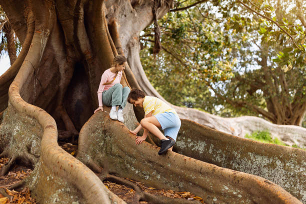 istock Children Playing on Roots of an Old Tree in a Sunny Park 2197945866