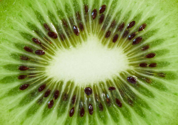 closeup of a fresh kiwi