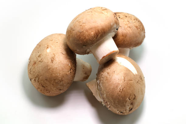 Isolated on white: brown button cremini mushrooms. stock photo