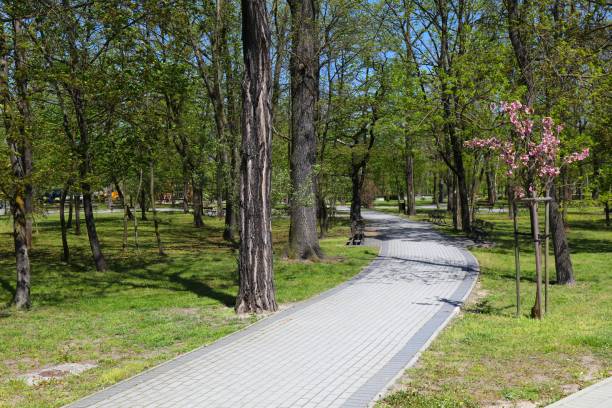 istock Spring in Kedzierzyn-Kozle, Poland 2197949300
