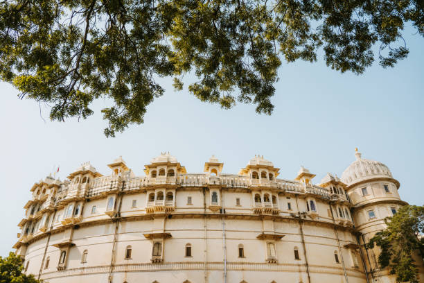 A view of the City Palace in Udaipur, India, showcasing its intricate architecture, with branches of a green tree in the foreground under a clear blue sky.