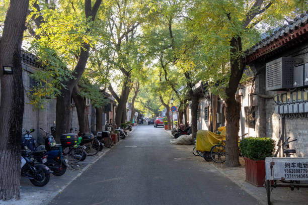 Beijing, China-11 Nov 2024: View of Nanluoguxiang in Beijing, China. It is the most popular and one of the oldest Hutongs in Beijing with a history of more than 740 years