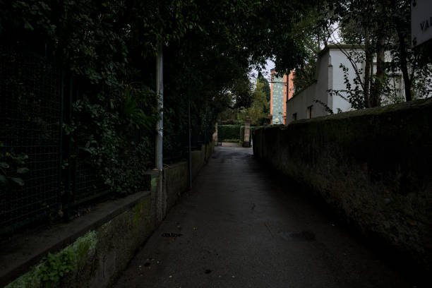 Alley between a stone wall and a fence with trees arching on the street on a cloudy day