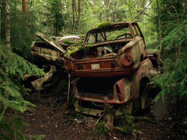 istock Abandoned vintage cars in nature 2197959844
