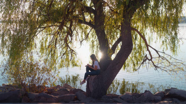 istock Beautiful young woman relaxing by lake and writing diary 2197962598
