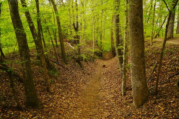 Natchez Trace National Park Mississippi