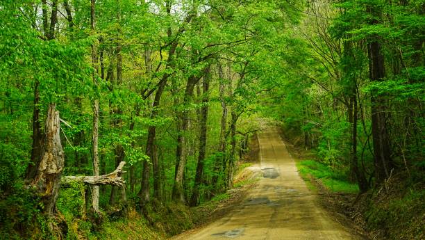 Natchez State Park Mississippi