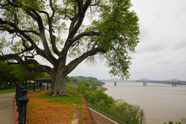 istock Gasoline Barge makes it way downstream from refineries.  Mississippi River and Natchez Mississippi on the Natchez Trace Parkway 2197963599