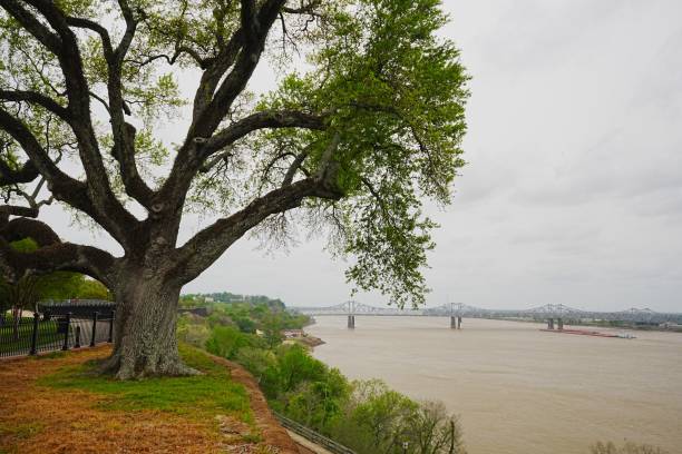 istock Gasoline Barge makes it way downstream from refineries.  Mississippi River and Natchez Mississippi on the Natchez Trace Parkway 2197963620