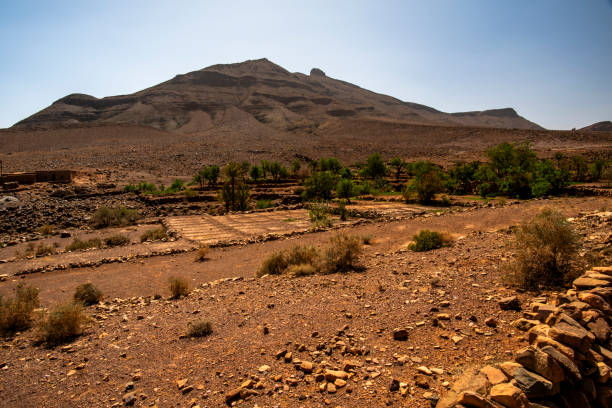 istock 2024 03 14 Jebel Saghro Atlas oasis 117 2197973615