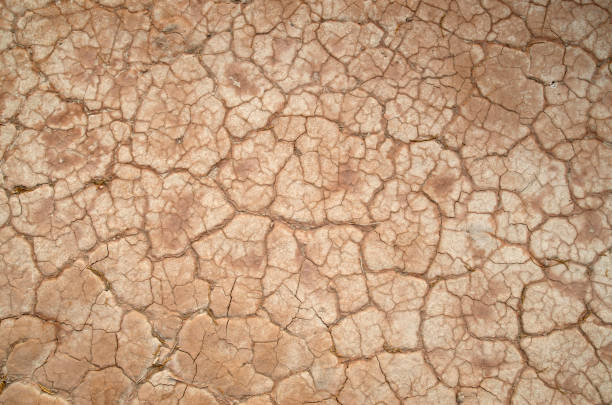 istock Cracked dry pink muddy surface closeup 2197975337