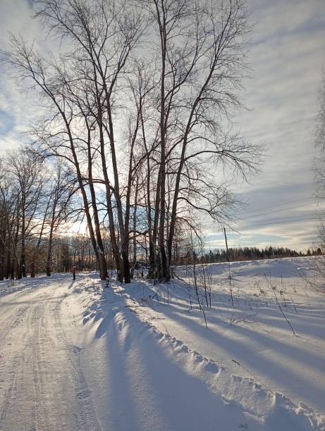istock The winter goes to the sun 2197977065