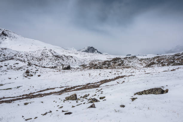 istock Dramatic cold alpine snow-white landscape with snow-covered pointy peak under cloudy sky. Snowy rocky range with mountain peaked top. Last year's grass and stones in snow and sharp pointed pinnacle. 2197984006