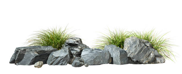 istock Isolated Natural Rock With Green Grass On White Background 3D Rendering 2197986614