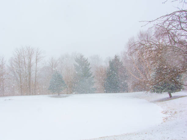 Frozen Lake in a snow storm-Howard County, Indiana