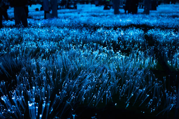 istock A Mystical Forest that possesses an Ethereal Blue Glow, captivating all who enter 2197991801