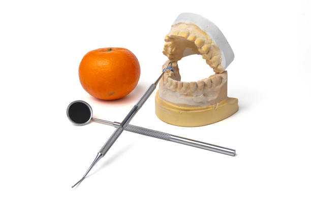 Plaster Dental Impression Cast Model with Mirror and Probe Instruments and Orange Citrus Fruit Isolated on White Background