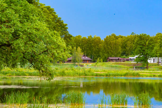 istock A tranquil lakeside view with lush greenery, reeds, and houses in the background, reflected in the still water under a blue sky. 2197996430