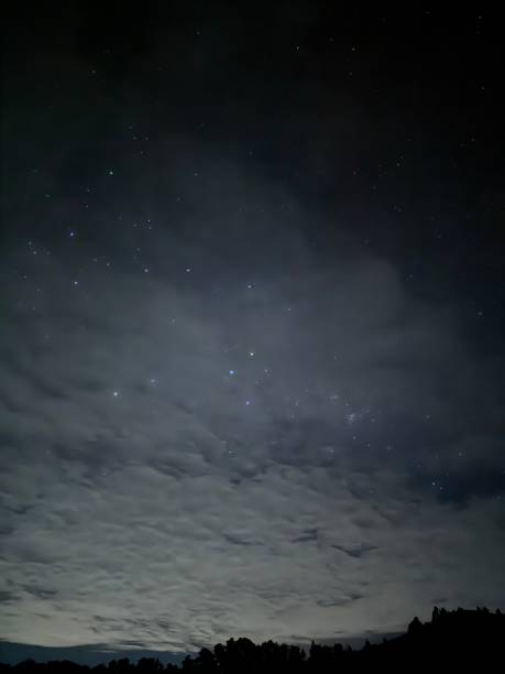 istock Navy-Toned Night Sky with Rippled Clouds and Silhouetted Foliage 2197996564