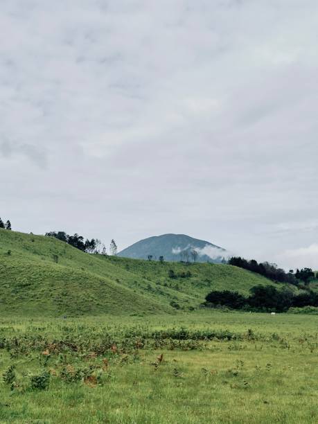 istock Closer View of Savanna and Distant Tosca Mountain 2198009128