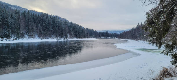 A serene winter landscape featuring a calm river surrounded by a snow-covered forest, with distant hills and a cloudy sky adding to the tranquil scene.