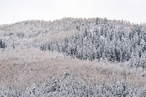Avon, Colorado cloudy day landscape covered in snow trees in Eagle county, Vail and Beaver Creek with cliff mountain