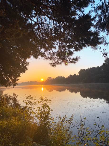 istock beautiful sunrise at the lake 2198014857