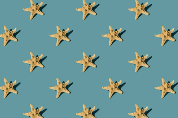 Starfish on green background with shadows. Summer pattern vacation banner concept