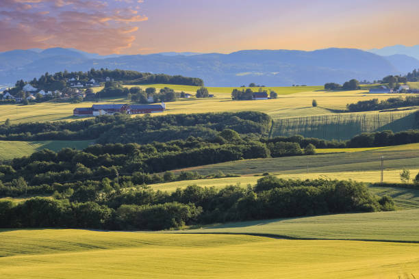 istock Agricultural area Byneset, Trondheim 2198022745