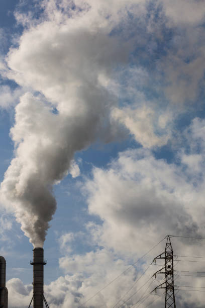 Chimney with smoke from a wood processing industry and an electric power pole. Electricity with blue sky and white clouds. Pollution