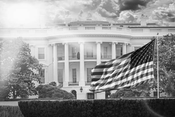 istock The White House Black & White 2198023648