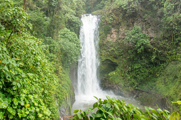 Stunning waterfall cascading amidst vibrant tropical foliage