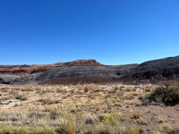 istock Petrified Forest National Park, Arizona 2198026961