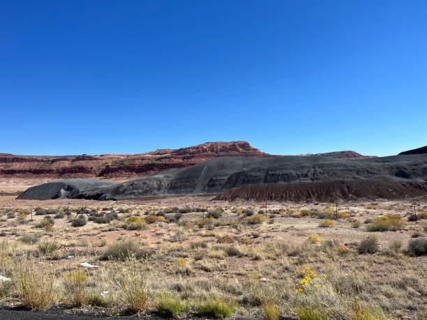 istock Petrified Forest National Park, Arizona 2198026962