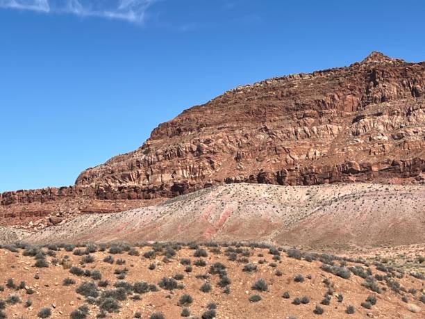 istock Petrified Forest National Park, Arizona 2198027023