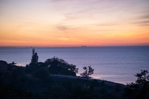 beautiful seascape with bright horizon. sun over sea painted sky red. rocks and trees in foreground.