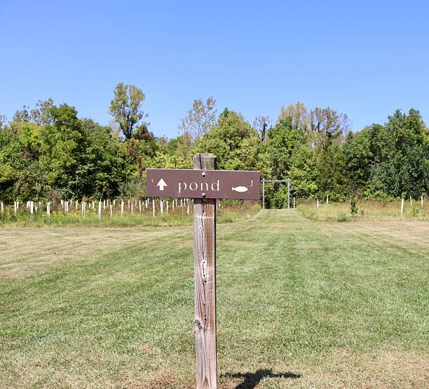 istock Wood Pond Sign 2198030048