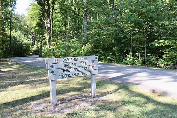 istock Trail Sign in the Park 2198030584