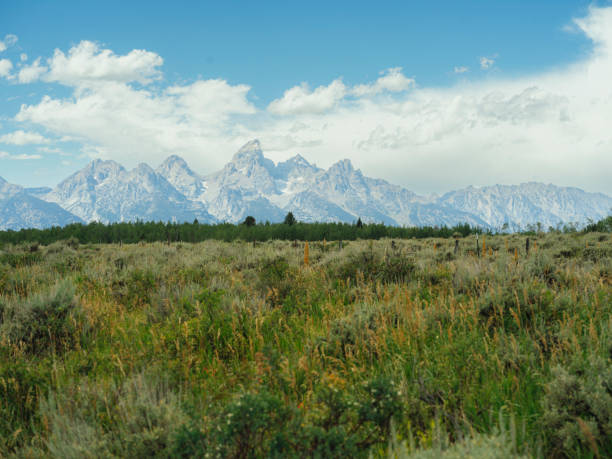 istock Grand Tetons on Sunny Day 2198033081