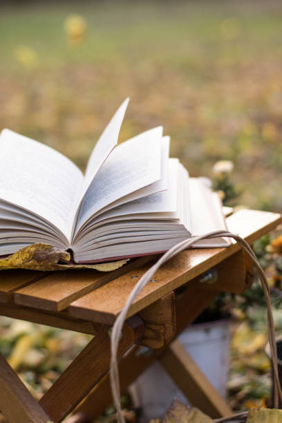 istock A book on a wooden chair outdoors in the forest, fall concept. 2198040112