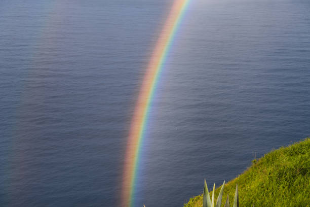 A vibrant rainbow arcs gracefully over the deep blue ocean, captured from the lush green cliffs of Madeira, Portugal.