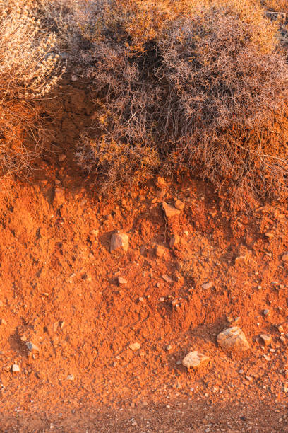 Patches of soil with a reddish hue interspersed with sparse grass, the soil appears to have a slightly damp texture and lighter patches, natural abstract background