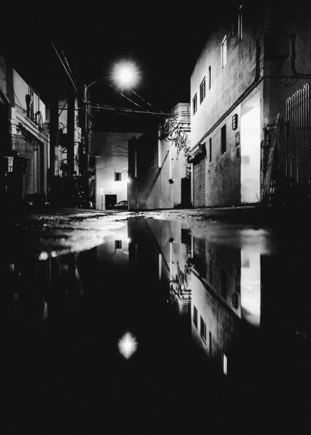 istock Dark alley reflection - Miami, Florida 2198048111