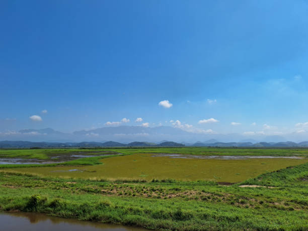 istock view of wetland 2198050525