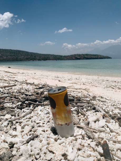 Sandy Sip: A Refreshing Moment in Nature