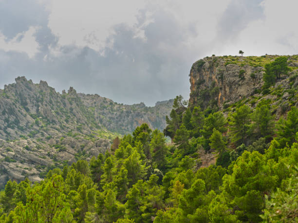 Serra de Tramuntana, Mallorca, Spain.  In 2011, UNESCO World Heritage Site status was awarded to Mallorcaâs magnificent Serra de Tramuntana. This impressive mountain range â almost 90km long â forms the backbone of Mallorca, and stretches from Andratx in the southwest to the Cap de Formentor in the far north of the island.